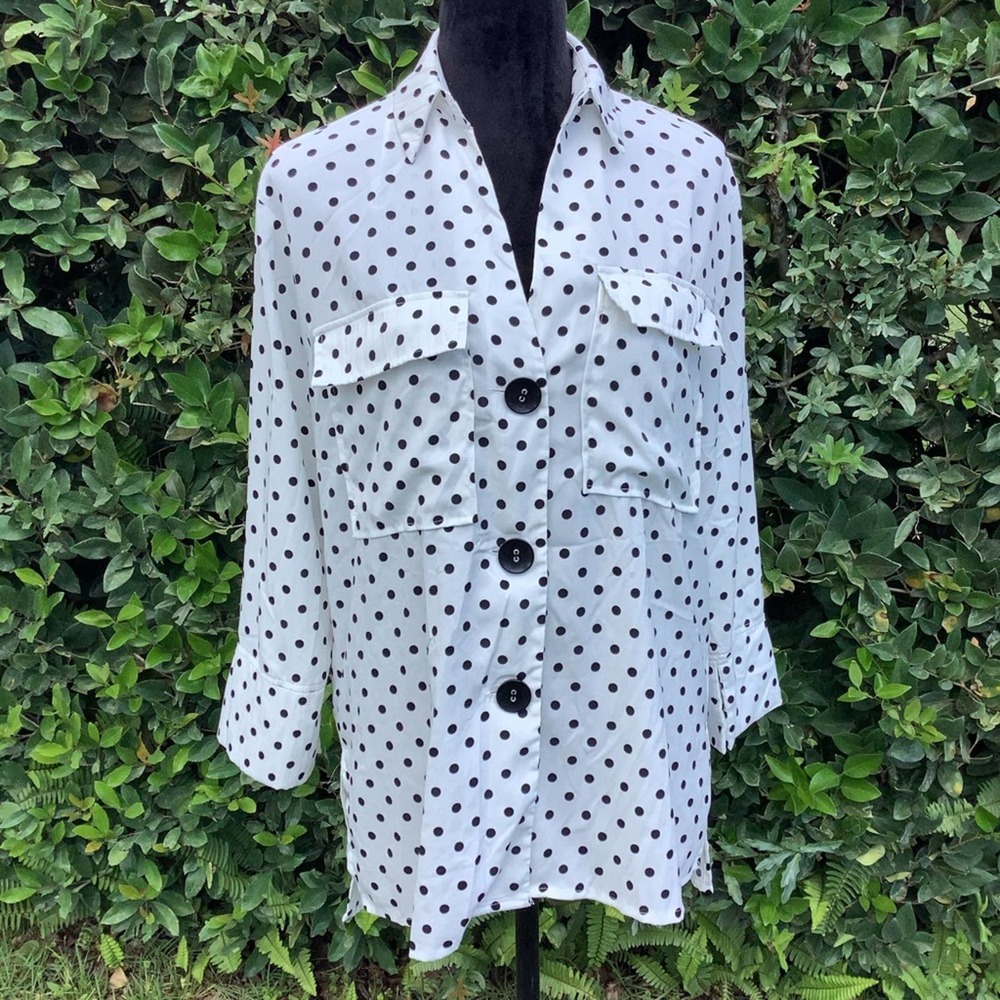 ZARA Polka Dot Button Down Tunic Top XS